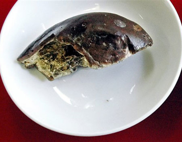 2,100 year old melon