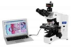 Adiciones a microscopios