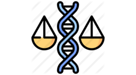 Timeline: Historia De La Bioética