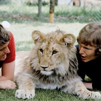 Timeline: A Lion Called Christian_Chapter 3