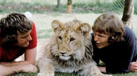 Timeline: A Lion Called Christian_Chapter 3