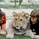 Christian the lion 590x390