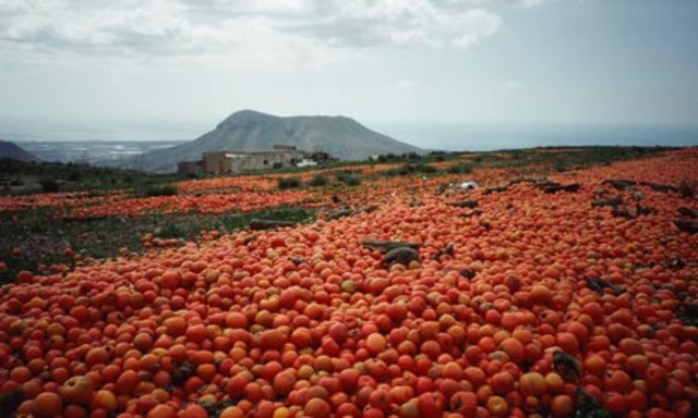 we had a farming surplus.