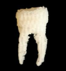 Miembros de la facultad de odontología en la universidad de Oslo crearon andamio artificial en forma de caucho