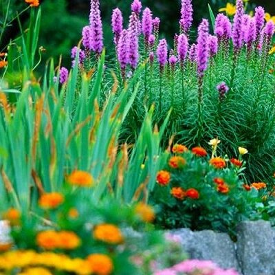 Timeline: Historia de la Fotosíntesis - Alejandro Ixtlahuaca