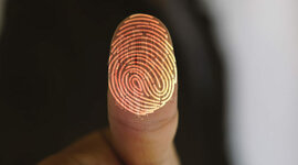 Timeline: Identidad