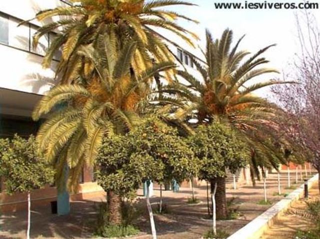 Recupero mis estudios y me matriculo en IES A DISTANCIA DE ANDALUCIA