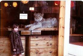 An accident with a child in ´Sophistocat´