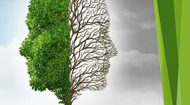 Timeline: Antecedentes de la psicología ambiental.