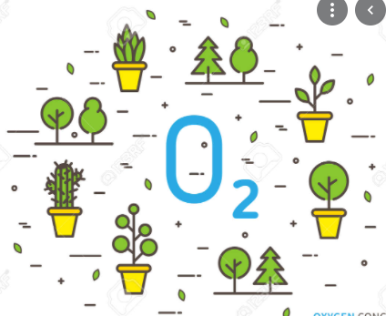 Oxigeno