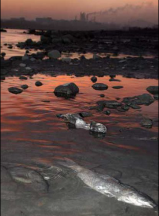 químicos tóxico en el río Songhua.