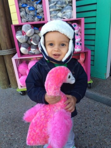 Primeira viagem aos EUA - Disney