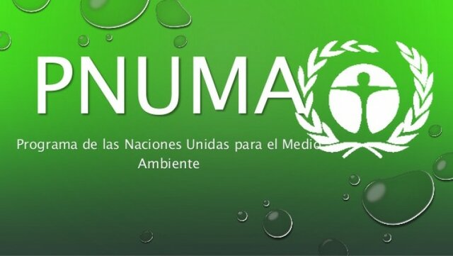Conferencia de las naciones unidas sobre el medio ambiente