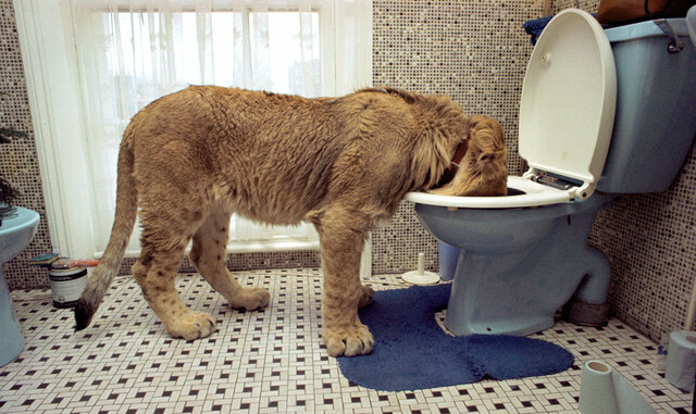 The friendship with Unity