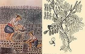 EL SALVADOR: LA REPÚBLICA.