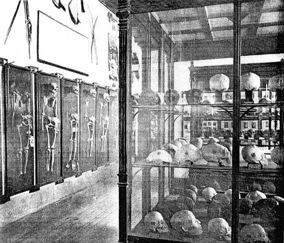 PRIMERA CLASIFICACIÓN DE COLECCIONES ANTROPOLÓGICAS Y ETNOLÓGICAS