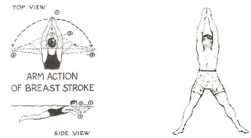 Los estilos braza y mariposa