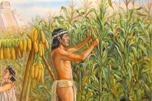 El origen de la agricultura en México.