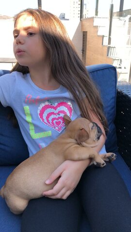 Dia em que minha cachorrinha chegou em casa!