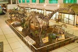 Buenos Aires crea su museo de ciencias naturales