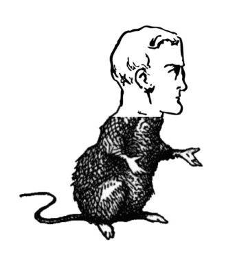 Half Human, Half Mouse