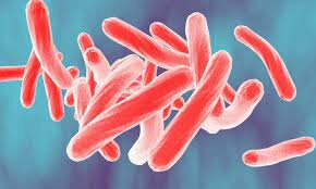 Analyzing Tuberculosis