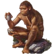 Homo habilis (dos millones de años A.C.)