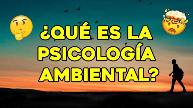 Considerable número de definiciones de Psicología Ambiental.