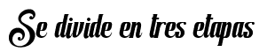 Etapas de la evolución.