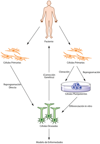 Reprogramacion celular