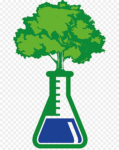 Surgimiento de la Química Verde