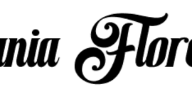 Timeline: Recursos humanos y liderazgo