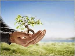 El primer nacimiento