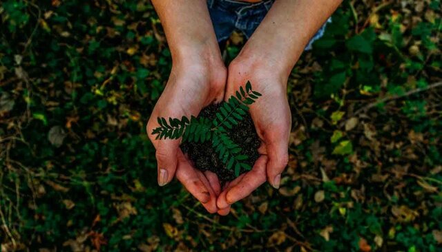 Movomiento Ecologista