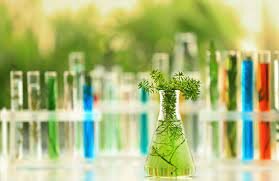 Quimica Verde
