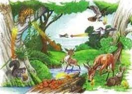 Russell, Ward y Pratt