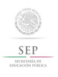 La Dirección General de Profesiones de la SEP brinda el reconocimiento oficial de la psicología