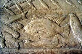 “Los Tronadores del Nilo”