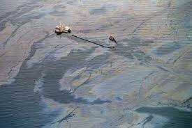 The Exxon Valdez Oil Spill