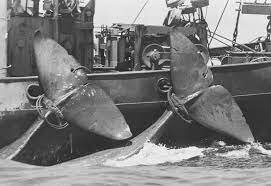 Whaling (save the whale)