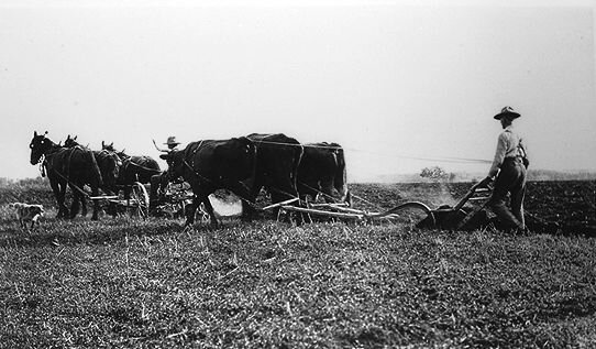 Farming Throughout the 1800s