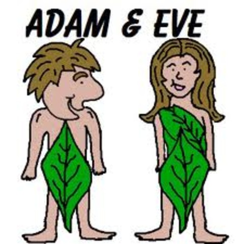 God made adam and eve