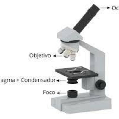 Timeline: Microscopios Opticos