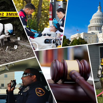 Timeline: The History of Law , Public , Safety , Corrections and Security.
