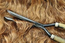 The wonderful hair straighteners!