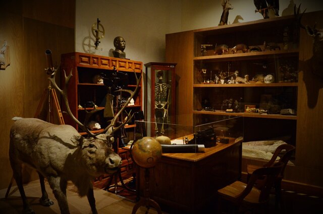 Exposición temporal a 150 años de historia natural en México