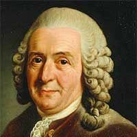 Carolus Linnaeus