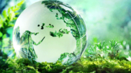 Timeline: Casos emblemáticos de Toxicología Ambiental. Línea de Tiempo.