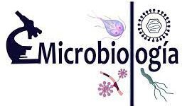 Timeline: Linea del tiempo de la microbiología