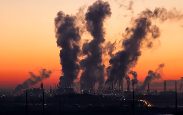 Fallecimientos por altas concentraciones de sustancias tóxicas en el aire. Bélgica.